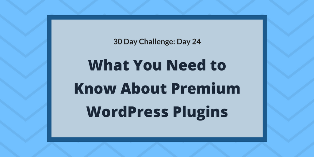 What you need to know about premium WordPress plugins